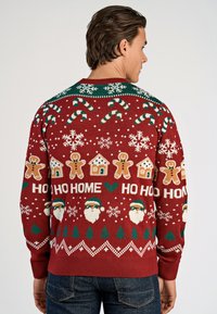 Punainen neulepaita, jossa on lomateemaisia kuvioita, kuten karkkipatukoita, piparkakkutalvoja ja lumihiutaleita, vihreillä yksityiskohdilla.