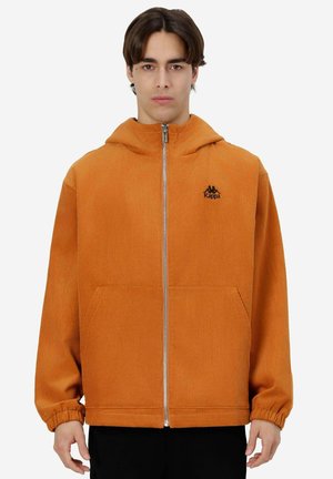 Felpa con zip - brown lt honey-black