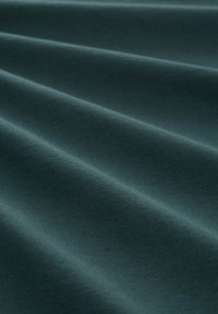 TOM TAILOR DENIM Základné tričko - dark gable green