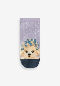 Next SPA  4 PACK  - REGULAR FIT - Calzini - grey purple dog