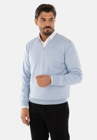Maglione light blue a V realizzato in tessuto morbido, con polsini e orlo a coste, indossato sopra una camicia bianca con colletto, dal taglio rilassato.