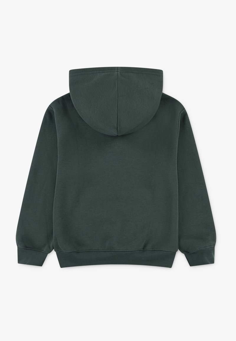 Jordan HOODIE UNISEX Sweatshirt midnight green/dark green