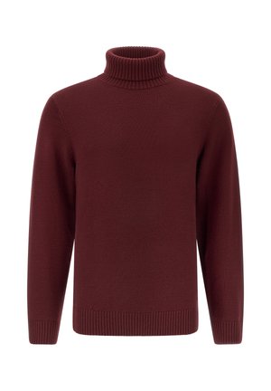 Burgunderfarbener Rollkragenpullover, aus gestricktem Stoff, mit gerippten Bündchen und Saum, in einfarbiger Ausführung mit glatter Textur.