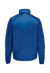 Blaues leichtes Jacke mit langen Ärmeln, elastischen Bündchen, hohem Kragen und weißen Chevron-Mustern an den Ärmelseiten, von hinten gezeigt.