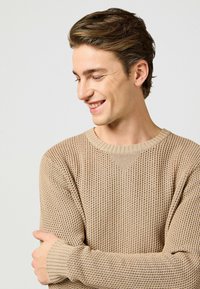 Beiger, gestrickter Pullover mit strukturierter Oberfläche, geripptem Rundhalsausschnitt und langen Ärmeln, der ein dezentes Muster im gesamten Stoff zeigt.