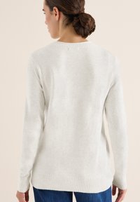Hellgrauer Strickpullover mit geripptem Rundhalsausschnitt, langen Ärmeln und einem etwas länger geschnittenen Rückensaum. Weicher Stoff mit lässiger Passform.