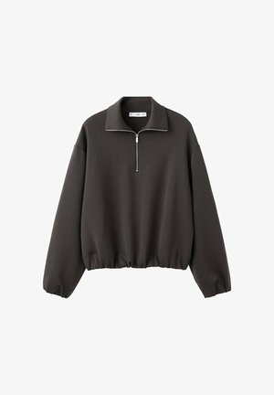 Dark gray pullover sweatshirt with a high collar, short front zipper, and elasticated hem. Soft fabric with a relaxed, loose fit.