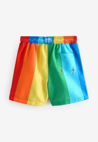 Shorts de bain multicolores avec un design dégradé arc-en-ciel, fabriqués en tissu lisse, avec une taille élastique et une poche arrière.