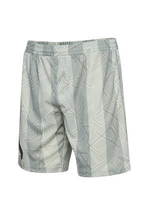 Grå idrottsshorts med ett geometriskt mönster. Tillverkade av lättviktigt material, med elastisk midjeband och sidopaneler som accenter.