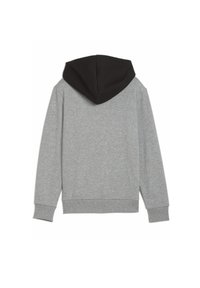 Puma WINNING SHOT - Felpa con cappuccio - medium gray heather