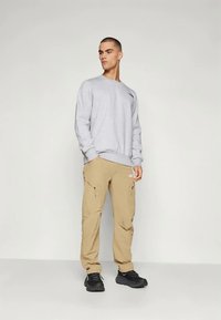 The North Face SIMPLE DOME CREW - Sweatshirt - light grey heather