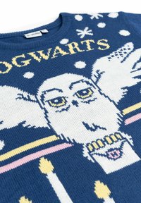 Maglione blu lavorato a maglia con un gufo dagli occhi gialli, accenti bianchi e la scritta "HOGWARTS", insieme a candele e motivi di fiocchi di neve.