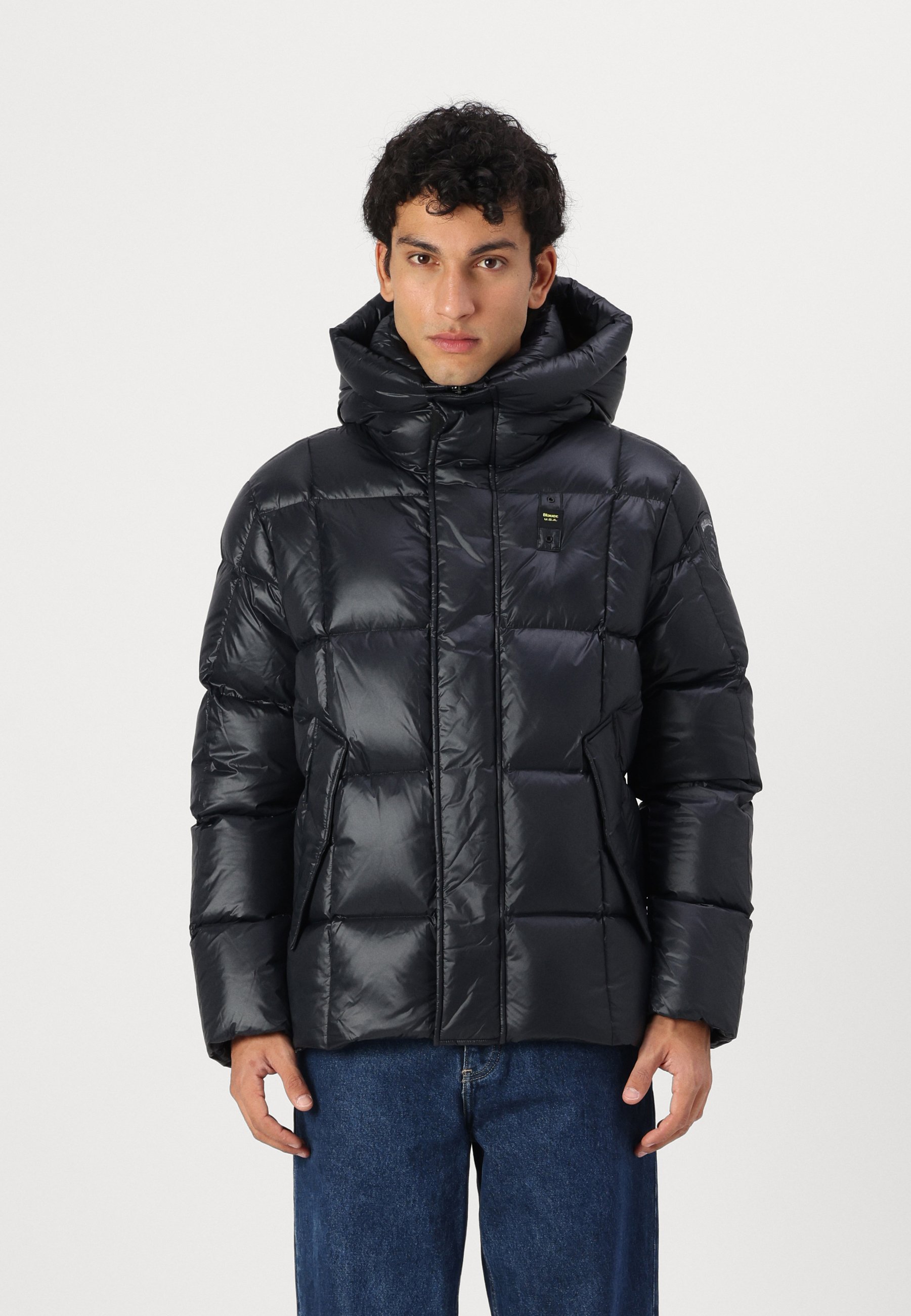 Veste Courte Rembourrée Homme Blauer - Col Montant, Nylon Brillant, Doublure Plume - Coupe Classique