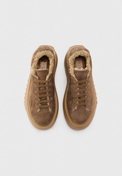 Casadei NEXUS - Baskets basses - brown