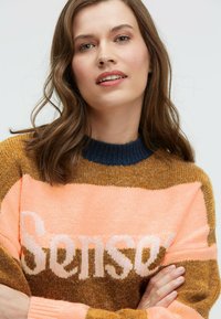 Knit sweater features a brown body with a contrasting pink and orange striped section. “Sense” text displays in white on pink. Ribbed navy collar.