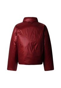 Rode donzen jas met een hoge kraag, voorzien van een gladde, glanzende textuur en een cropped ontwerp. Geen zichtbare hardware of patronen.