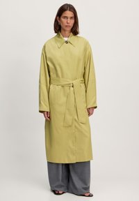 Hellgrüner, taillierter Trenchcoat mit Kragen und langen Ärmeln, aus glattem Stoff gefertigt, mit einer Vorderknopfleiste und seitlichen Taschen.
