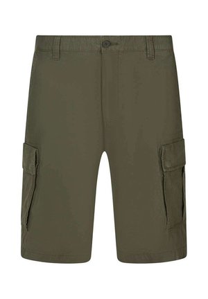 CARGO - Shorts - vert