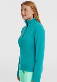 Pullover in pile color teal con colletto alto e design con zip a quarto. Presenta maniche lunghe e una texture liscia e morbida.