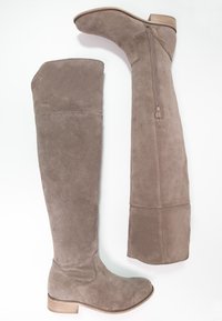 Botas de ante beige hasta la rodilla con punta redonda, un tacón bajo apilado y cremallera lateral; textura suave con un sutil brillo.