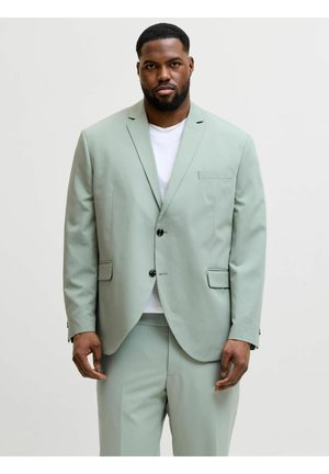 Bărbat purtând sacou și pantaloni de costum verde deschis cu tricou alb, stând în picioare pe un fundal simplu și deschis, privind înainte.