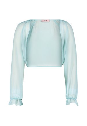 Light blue sheer cropped jacket with long, puffed sleeves. Features elasticated cuffs and subtle draping detail. Soft, smooth texture.