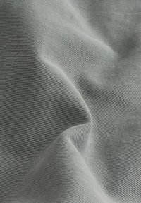Next VINTAGE - REGULAR FIT - Tiesaus kirpimo džinsai - grey light