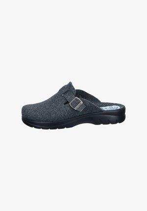 Dark gray felt slip-on clog with adjustable buckle strap and black sole, side view on white background.
