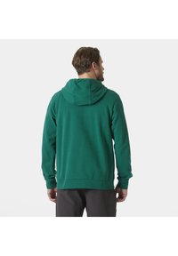 Sudadera con capucha verde de textura suave, con mangas largas y dobladillo acanalado, que presenta una costura central y un corte relajado.