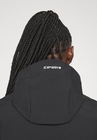 Personne aux cheveux longs tressés attachés, portant une veste noire Icepeak, vue de dos montrant la capuche de la veste et le logo.
