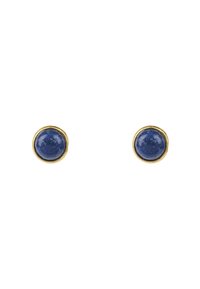 Pendientes de studs con marco dorado que presentan piedras redondas de lapislázuli azul profundo con una textura suave y un acabado pulido.