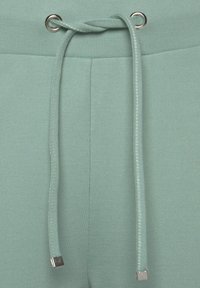 Svetlozelené tepláky majú hladkú textúru, šnúrku so striebornými akcentmi a jednoduchý dizajn pása.