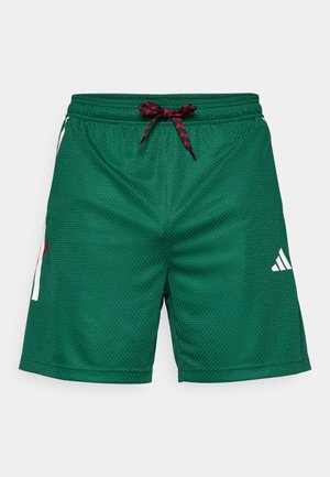 Pantaloni sportivi a rete verdi con un motivo texturizzato, cordino nero e rosso, e accentatura bianca del logo sul lato inferiore destro.