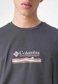 Columbia EXPLORERS CANYON BACK TEE - T-shirts print - shark