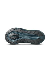 ASICS NOVABLAST 5 TR - Trail running shoes - nature bathing   lichen rock
