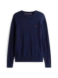 PIMA CREW NECK - Maglione - desert sky
