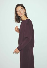 Veiniroosa dressipluus lõdva lõikega, ümar kaelus ja pikad varrukad. Pehme kangas, soonikkoes mansetid ja äär. Mudel poseerib õrnalt.