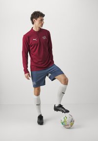 Puma SWITZERLAND SFV REPLICA - Valsts izlases komandas apģērbs - inky blue/white