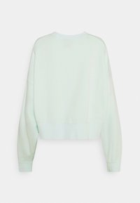 Sweat-shirt uni vert menthe clair à manches longues avec poignets, bas et col rond côtelés, vu de dos.