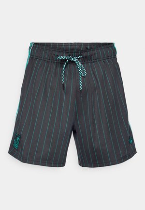 Black swim shorts with teal vertical stripes, elastic waistband, and a drawstring. Features a logo patch on the left side.