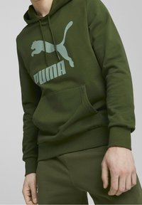 Puma Mikina s kapucí - green