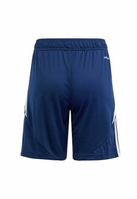 Pantalones cortos deportivos de color azul marino con cintura elástica y franjas laterales blancas, mostrados desde la parte trasera sobre un fondo blanco.