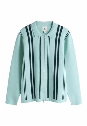 Gaiši piparmētru zaļa rāvējslēdzēja džemperis ar apkaklīti, ar tumši ziliem vertikāliem svītrām un mīkstu tekstūru.