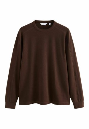 Brown long-sleeve sweater with a round neckline, ribbed texture, and raglan sleeves. Seam detailing along the sides and cuffs visible.