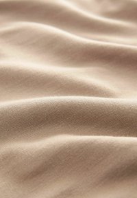 Next SOFT TOUCH RAGLAN SLEEVE - Mikina - neutral