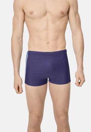 Torso y piernas superiores masculinos con bañador azul oscuro y franjas laterales en azul claro y blanco, de pie sobre un fondo liso.