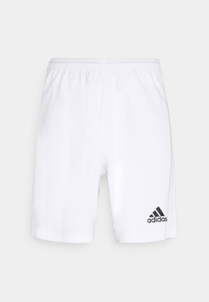 SQUADRA 21 - Träningsshorts - white