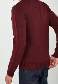 Next Strickpullover - red