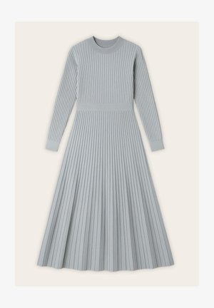 Light grey ribbed knit dress with long sleeves, fitted waist, crew neck, and flared pleated skirt.