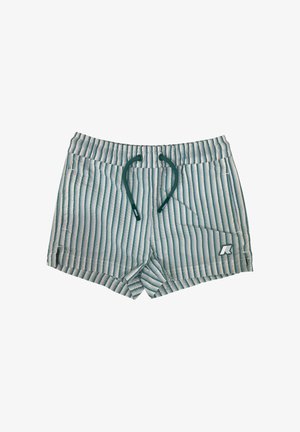 Costume da bagno a righe verticali azzurro chiaro e bianco con coulisse verde e piccolo logo sulla gamba sinistra anteriore.